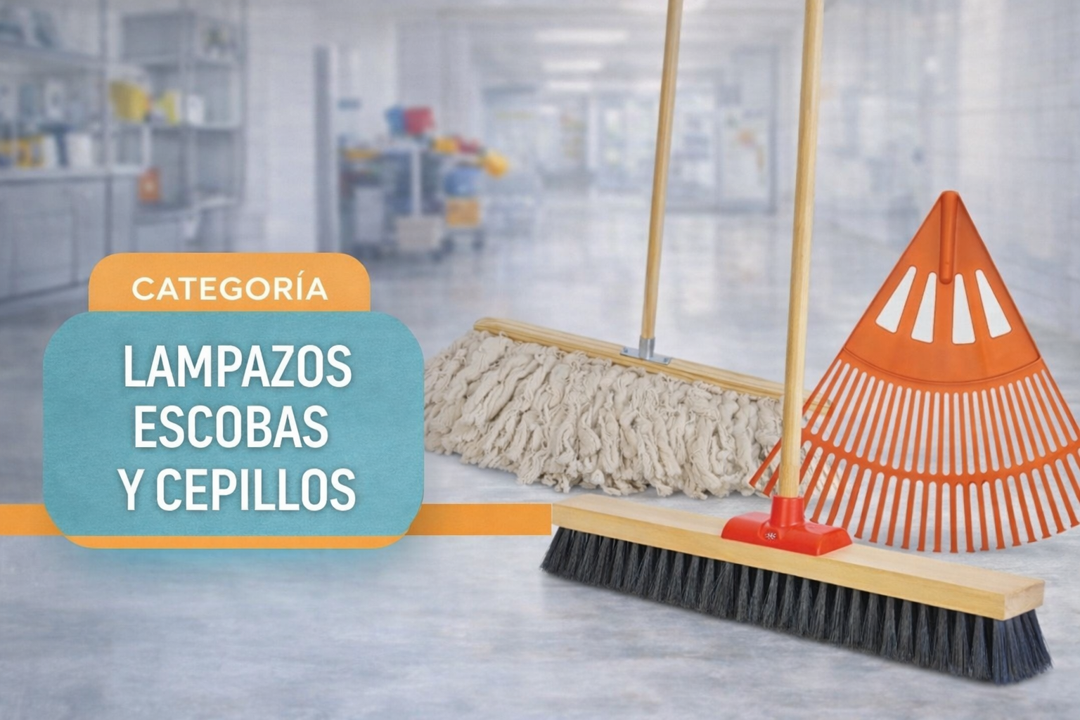 Lampazos escobas y cepillos